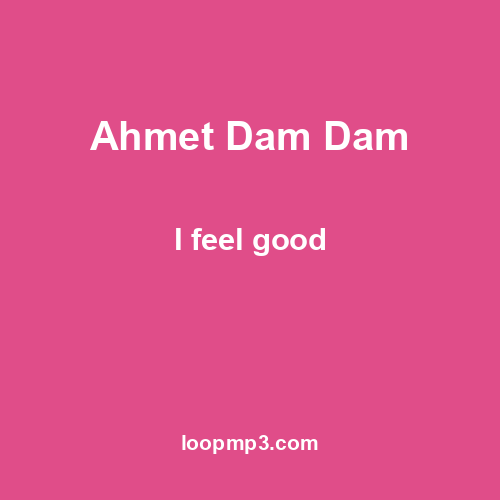 Ahmet Dam Dam - I feel good