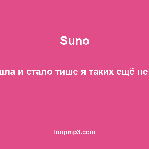 Suno - Ты зашла и стало тише я таких ещё не видел
