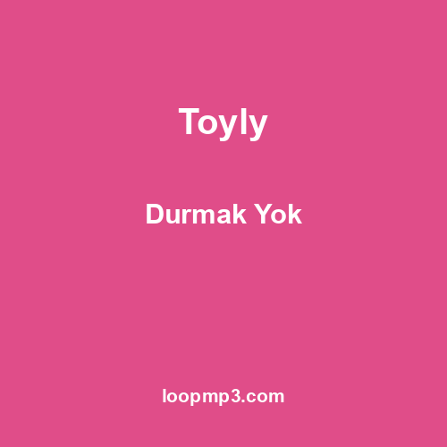 Toyly - Durmak Yok