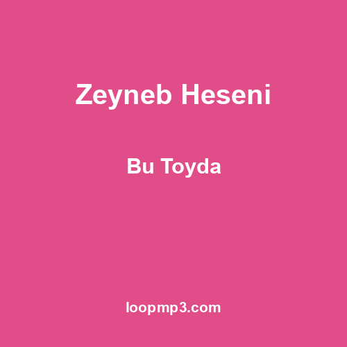 Zeyneb Heseni - Bu Toyda